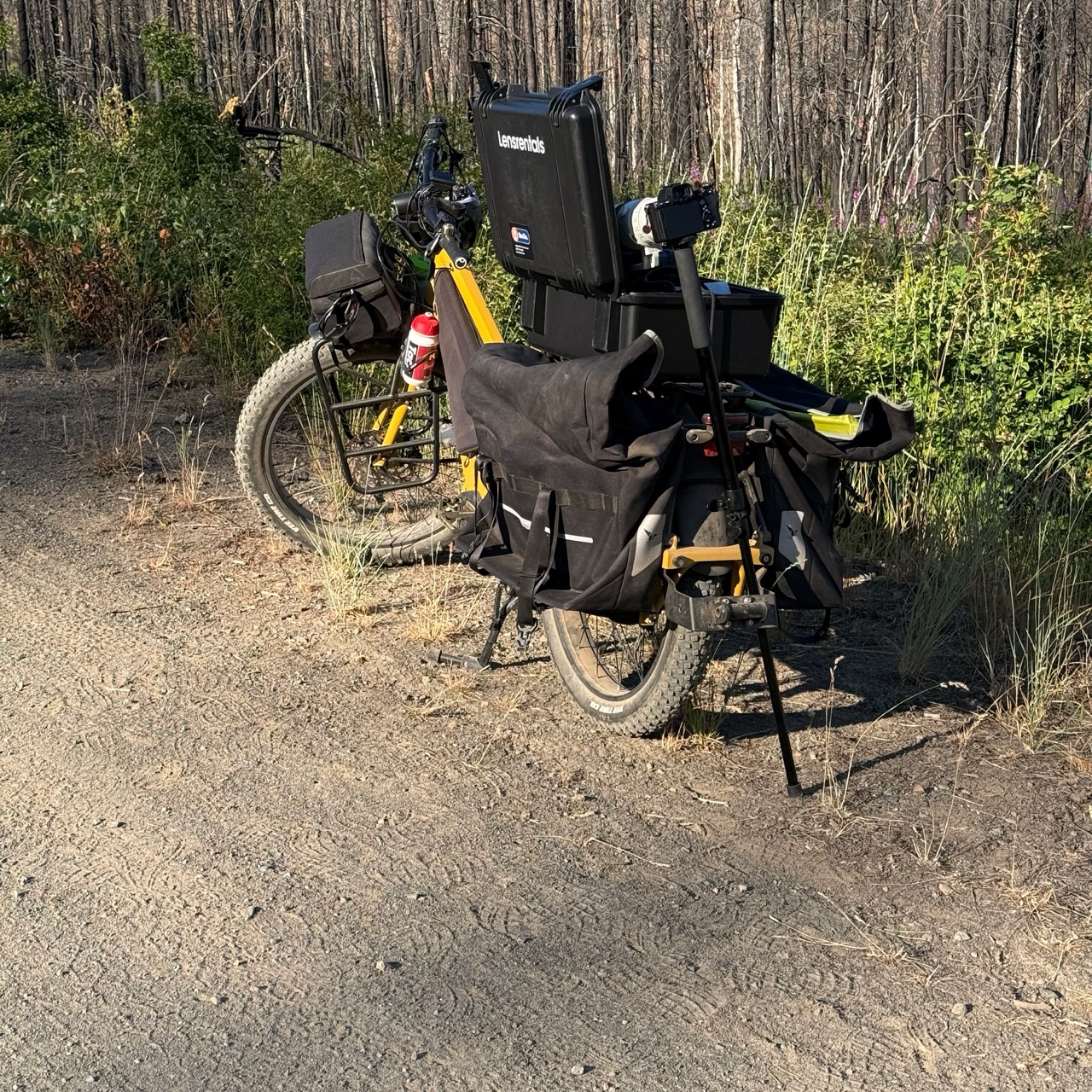 Country life recalibrated my ride to locations: now it’s dirt roads, towering trees, and a whole lot more gear.