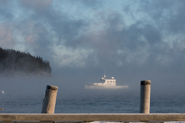 Fujinon XF 80mm f/2.8 R LM OIS WR Review: Field Test -- Gallery Image