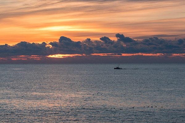 Fujinon XF 80mm f/2.8 R LM OIS WR Review: Field Test -- Gallery Image