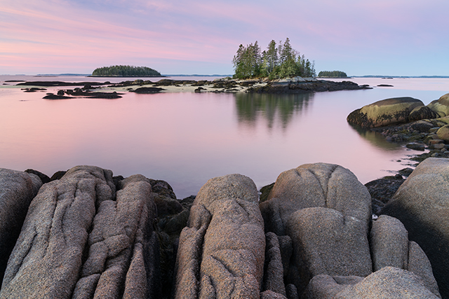 Sony A7R V Review: Field Test -- Gallery Image