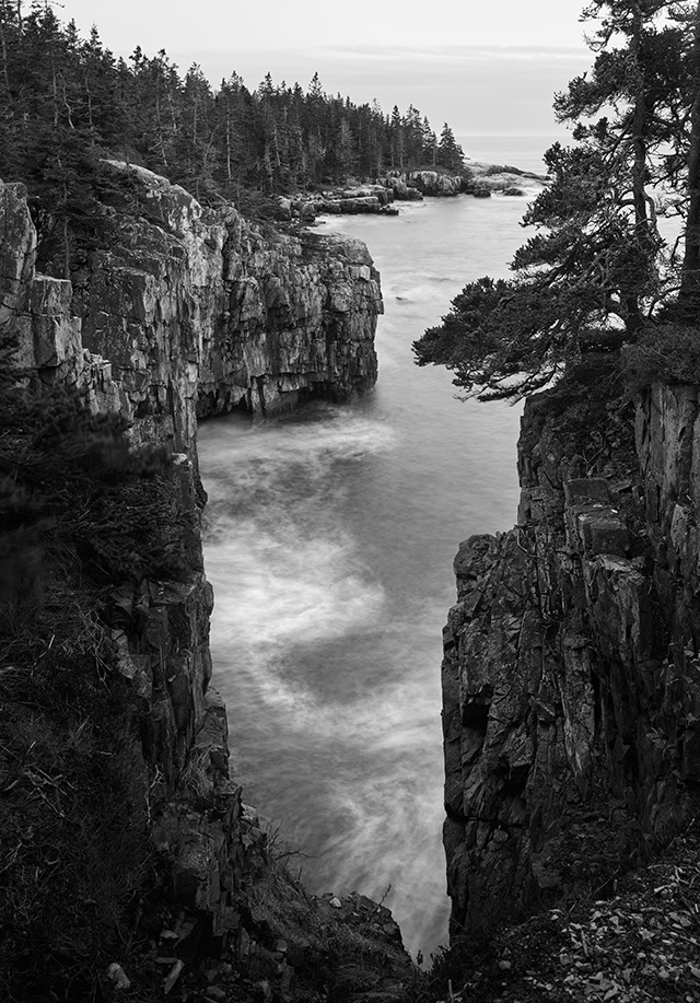 Phase One XT IQ4 Achromatic Hands-on Review: Review -- Gallery Image