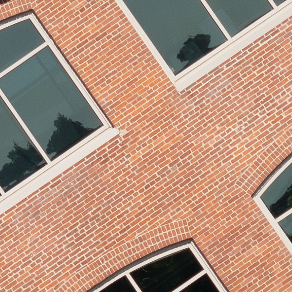 Sigma 150-600mm f/5-6.3 DG DN OS Sports Review: Field Test -- Gallery Image