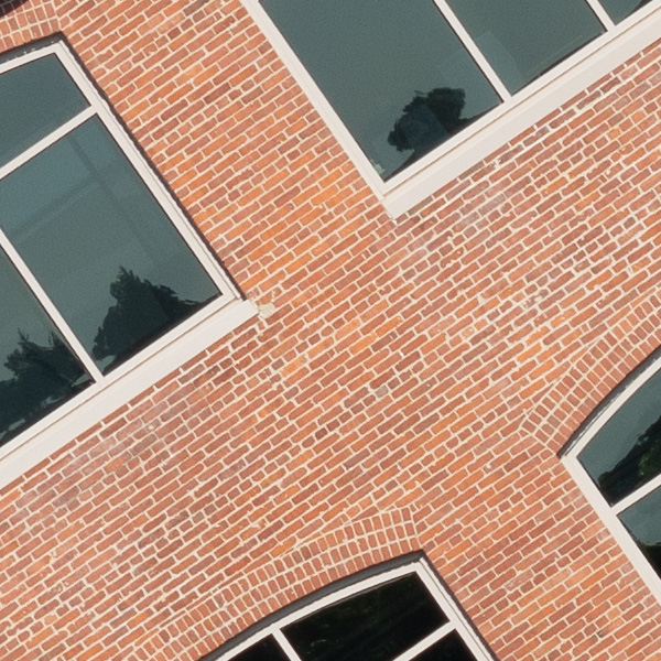 Sigma 150-600mm f/5-6.3 DG DN OS Sports Review: Field Test -- Gallery Image