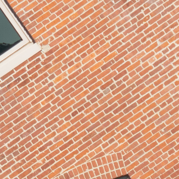 Sigma 150-600mm f/5-6.3 DG DN OS Sports Review: Field Test -- Gallery Image