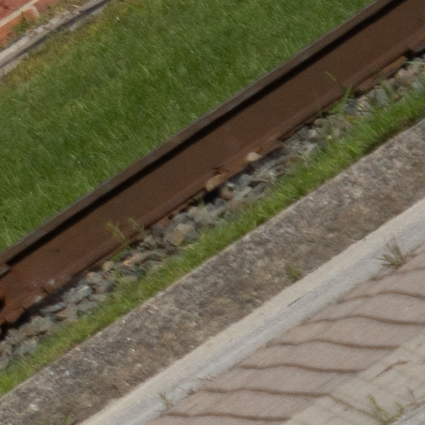 Sigma 150-600mm f/5-6.3 DG DN OS Sports Review: Field Test -- Gallery Image