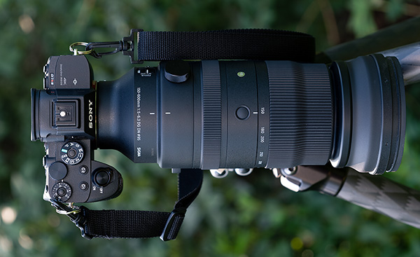 Sigma 150-600mm f/5-6.3 DG DN OS Sports Review: Field Test -- Product Image