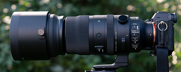 Sigma 150-600mm f/5-6.3 DG DN OS Sports Review: Field Test -- Product Image